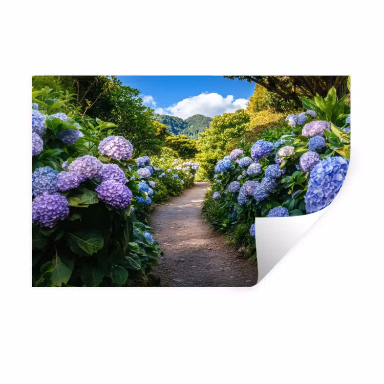 Muursticker - Hortsensia - Pad - Bloemen — 1