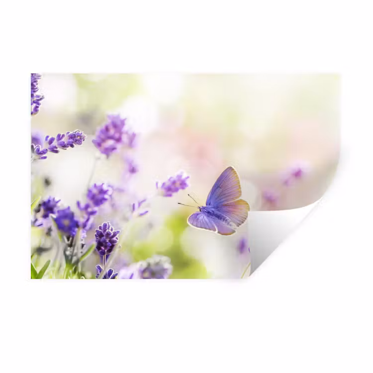Muursticker - Lavendel - Vlinder - Bloemen — 1