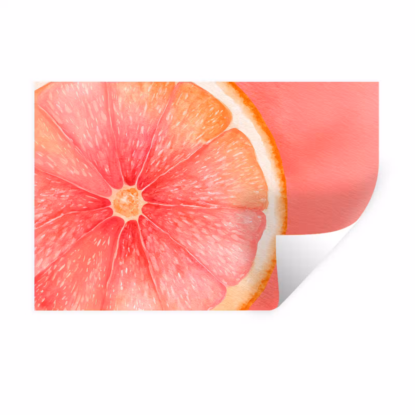 Muursticker - Grapefruit - Roze - Levendig — 1