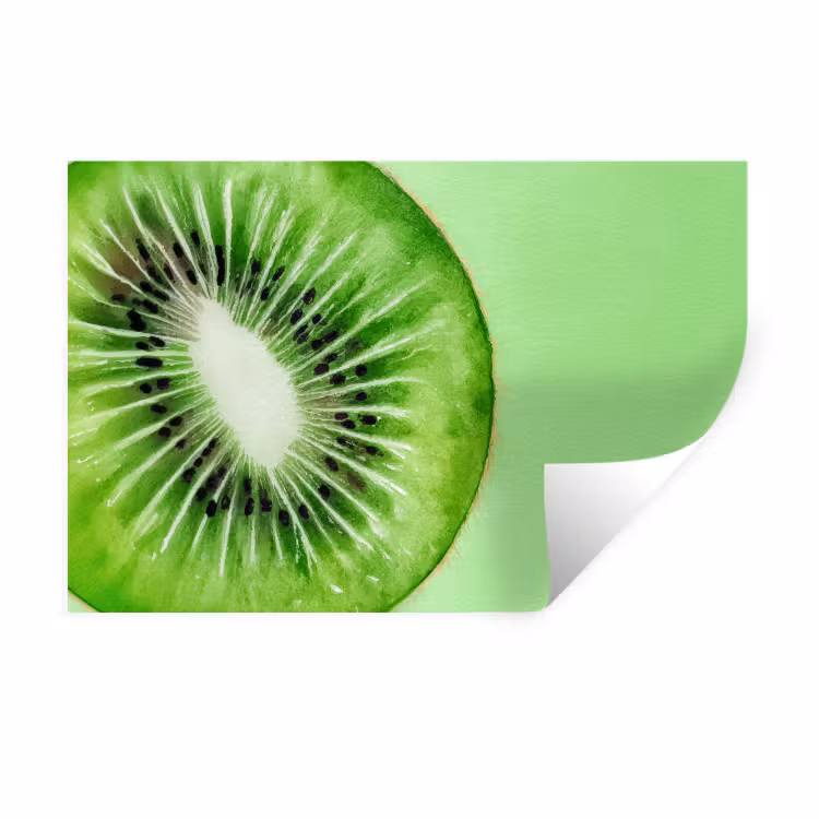 Muursticker - Kiwi - Groen - Fris — 1