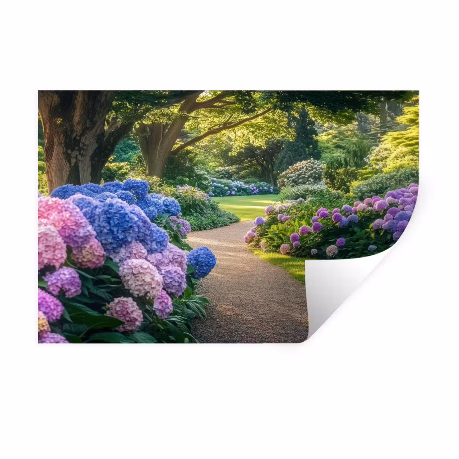 Muursticker - Hortensia- Park - Pad — 1