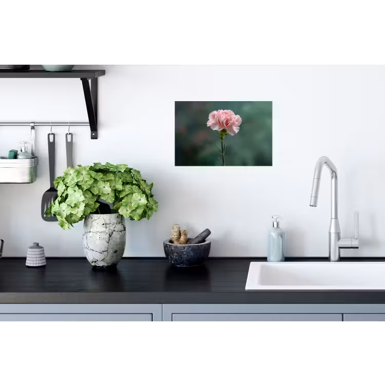 Muursticker - Anjer - Roze - Bloemblaadjes — 2