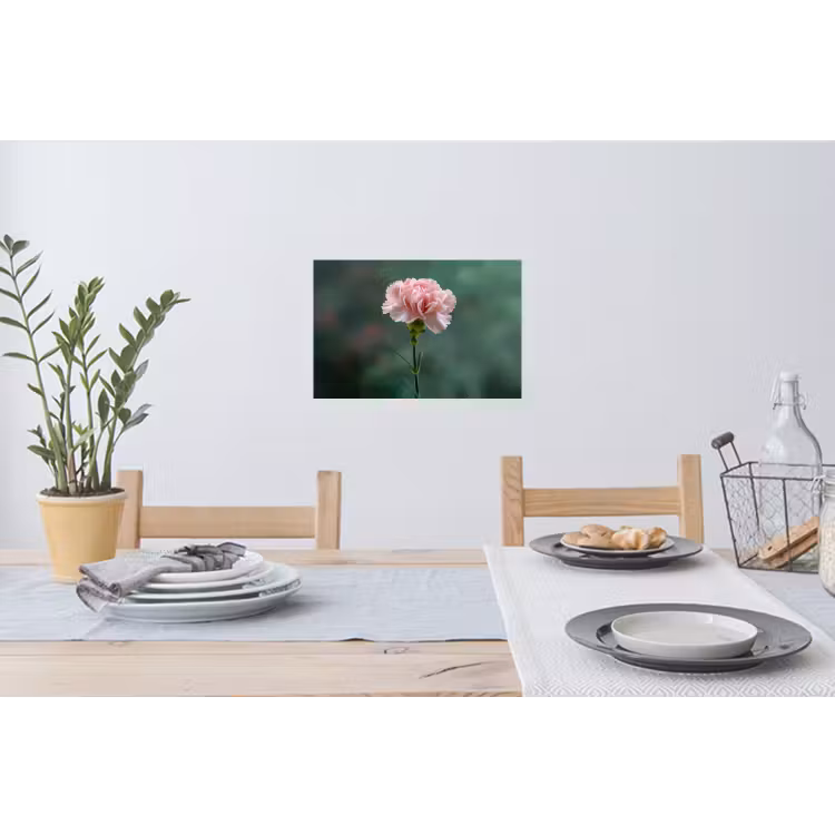 Muursticker - Anjer - Roze - Bloemblaadjes — 3