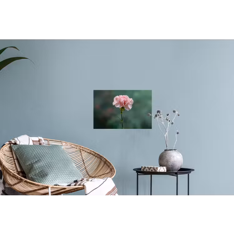 Muursticker - Anjer - Roze - Bloemblaadjes — 4
