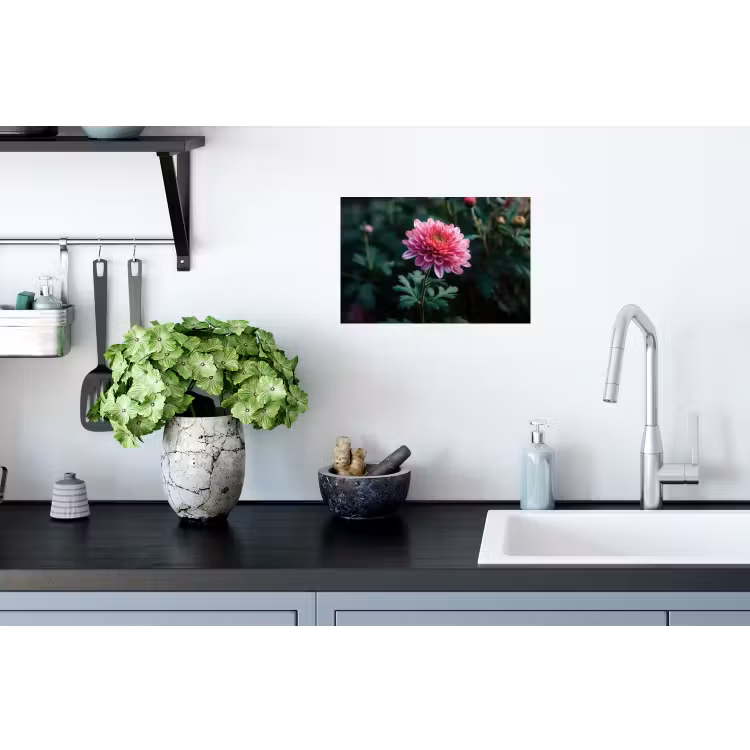 Muursticker - Blad - Chrysant - Roze - Schaduw — 2