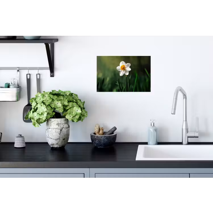 Muursticker - Narcis - Bloem - Wit - Grassprieten — 2