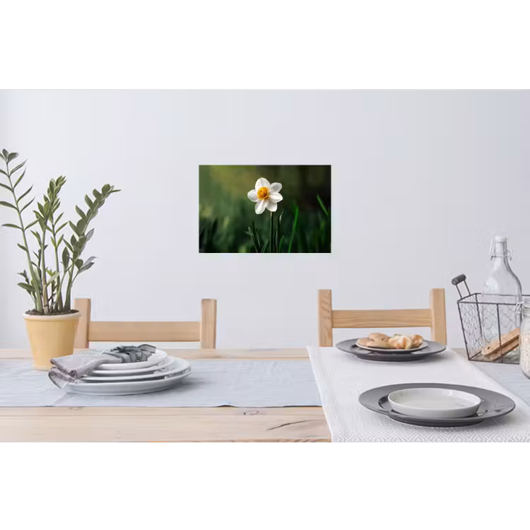 Muursticker - Narcis - Bloem - Wit - Grassprieten — 3