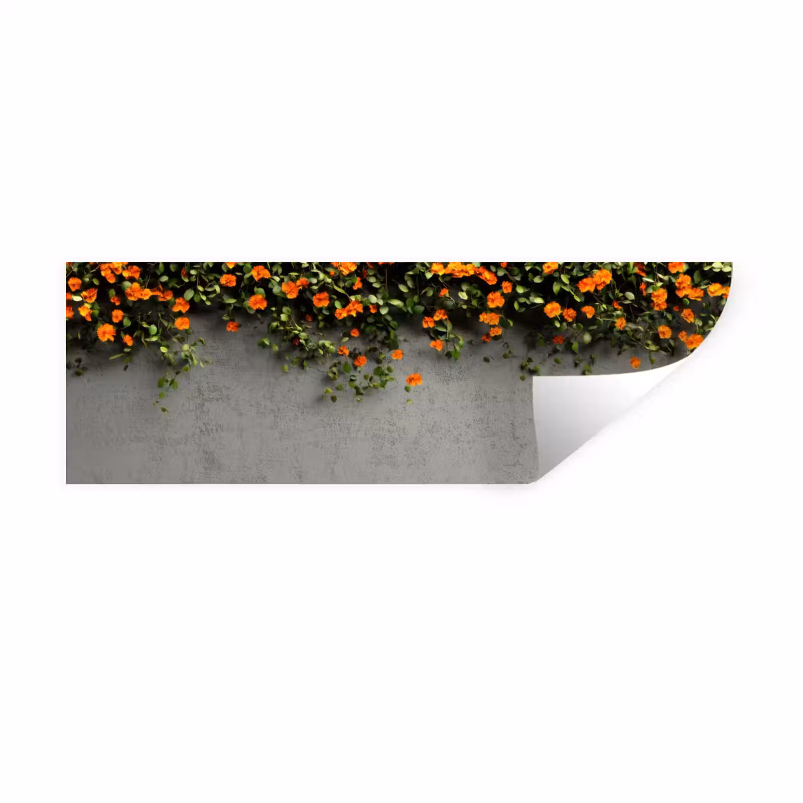 Muursticker - Bloemen - Muur - Oranje — 1