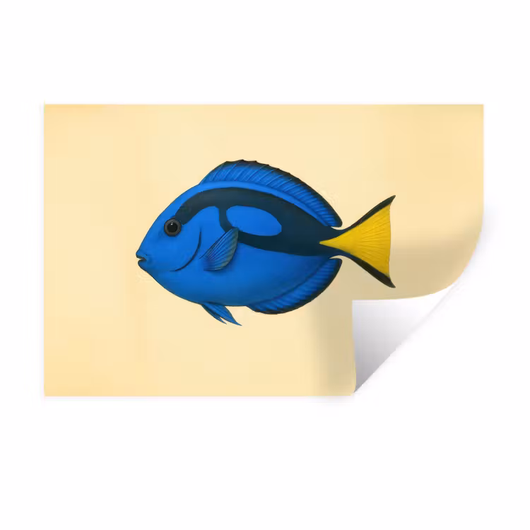 Muursticker - Blauw - Dory - Vis - Staartvin — 1