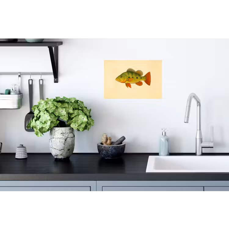 Muursticker - Schubben - Vis - Groen - Illustratie — 2