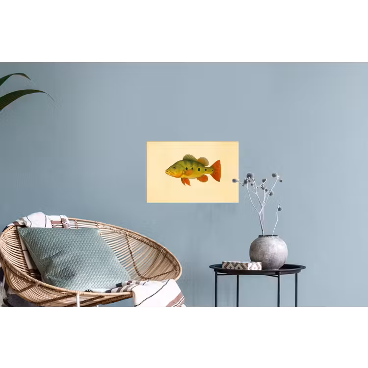 Muursticker - Schubben - Vis - Groen - Illustratie — 4