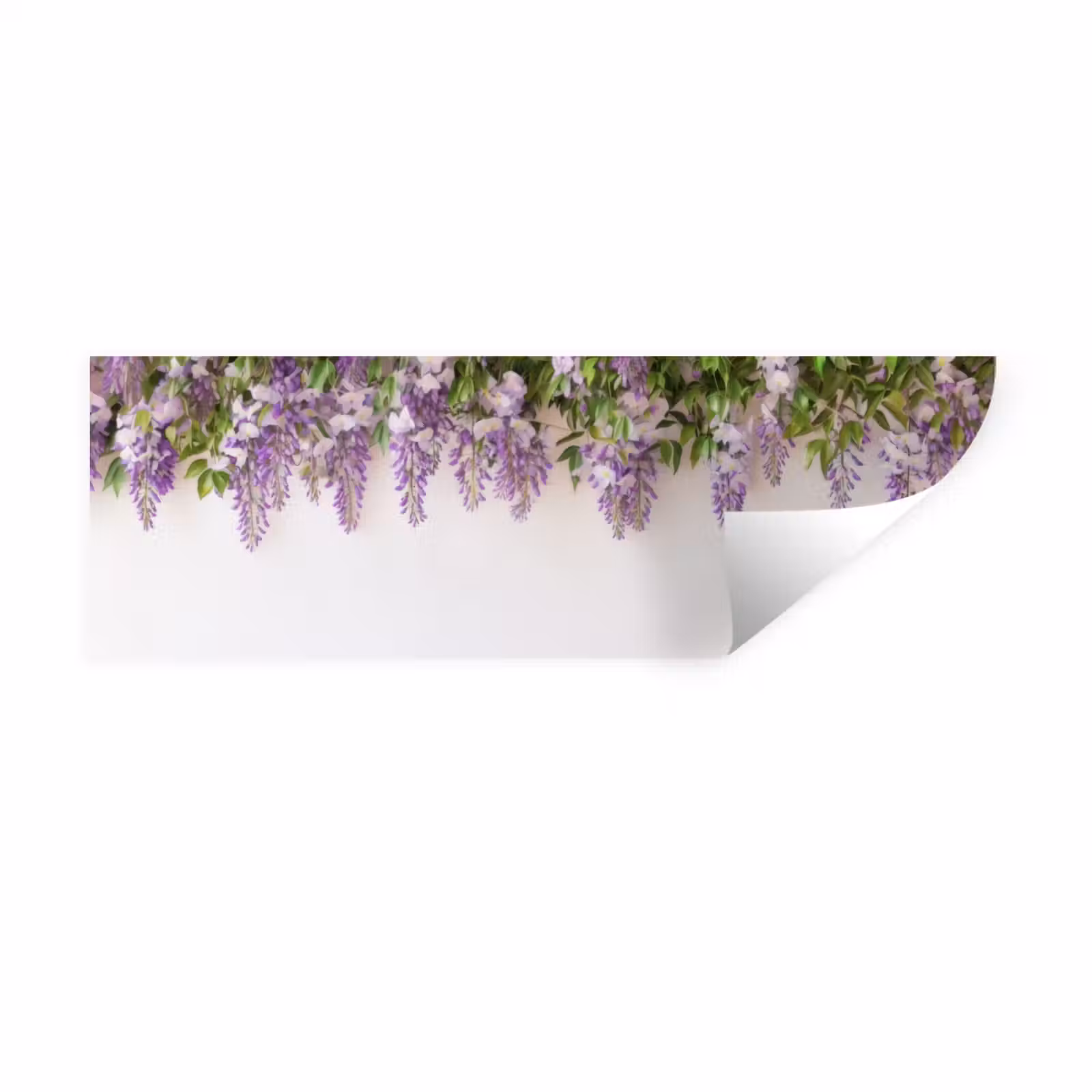 Muursticker - Blauwe regen - Bloemen - Paars — 1