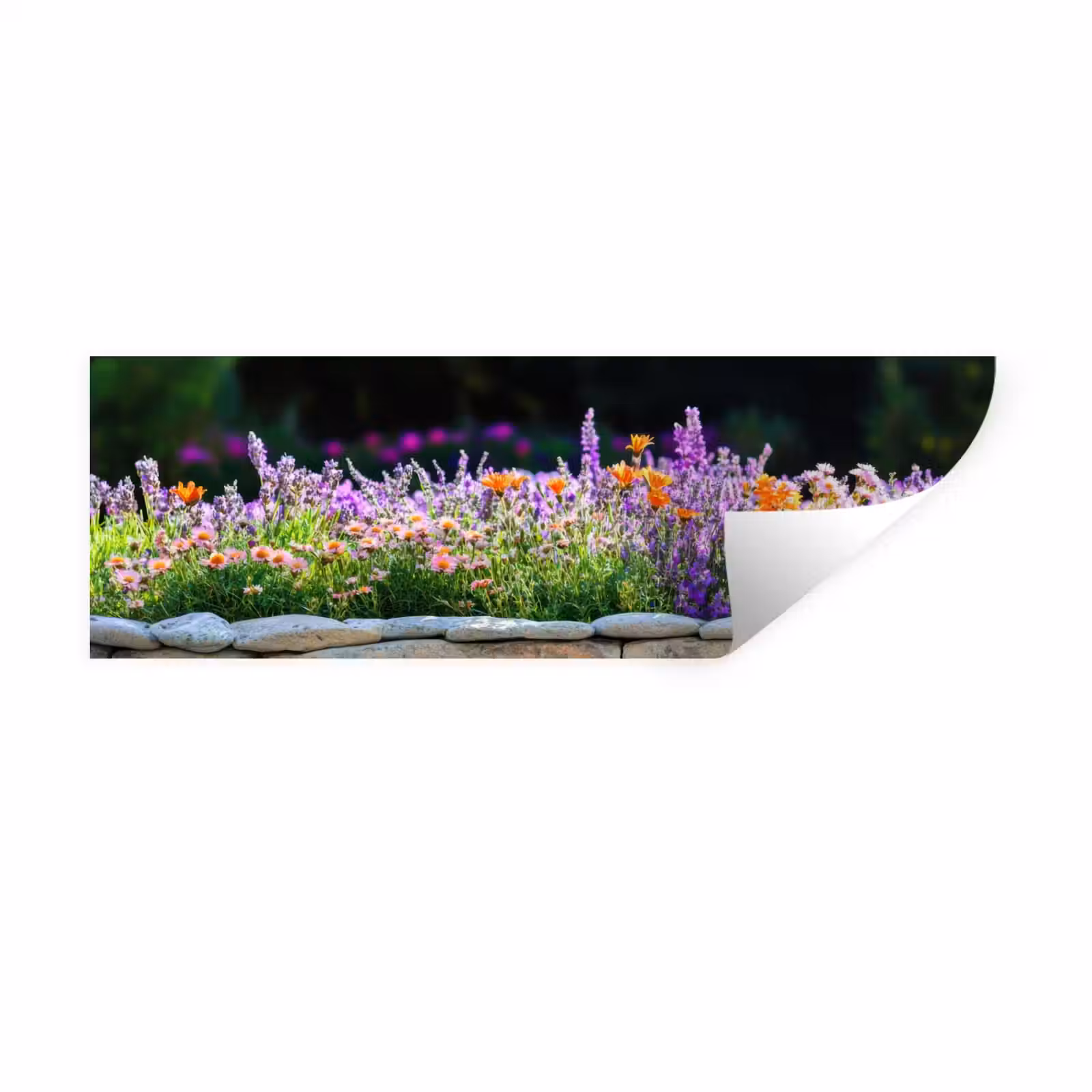 Muursticker - Bloemen - Steenrand - Kleurrijk — 1
