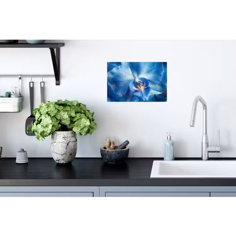 Muursticker - Blauw - Orchidee - Elegeant — 2