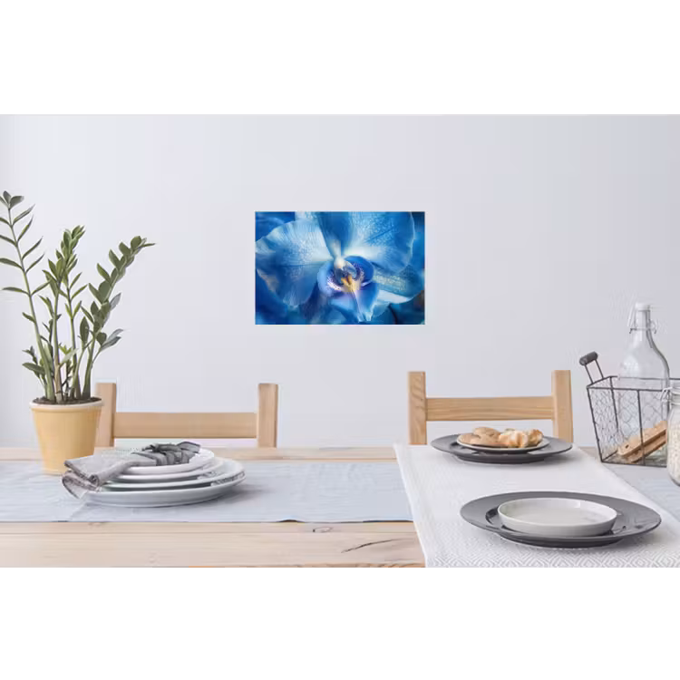 Muursticker - Blauw - Orchidee - Elegeant — 3
