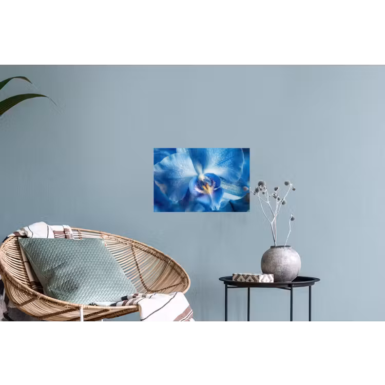 Muursticker - Blauw - Orchidee - Elegeant — 4
