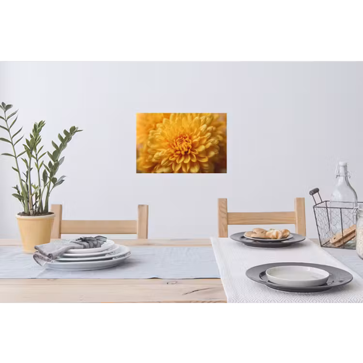 Muursticker - Geel - Chrysant - Zachtheid — 3
