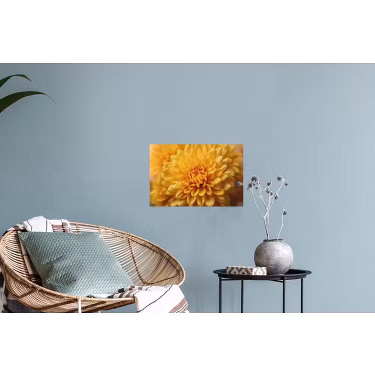 Muursticker - Geel - Chrysant - Zachtheid — 4