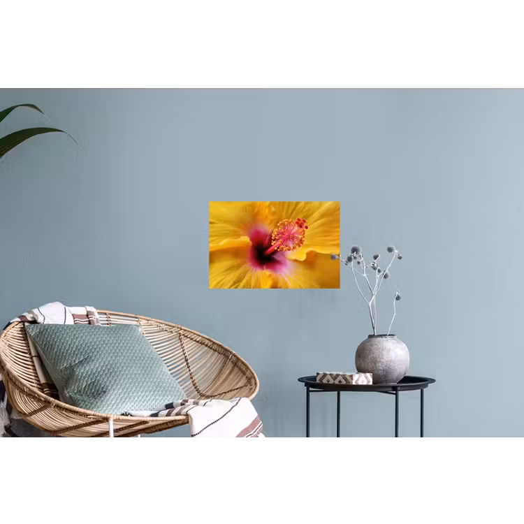 Muursticker - Geel - Hibiscus - Tropisch — 4