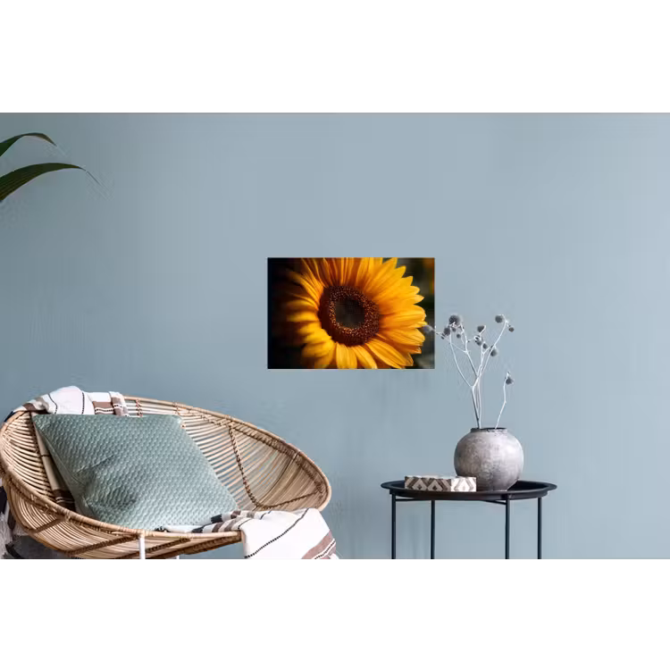 Muursticker - Geel - Zonnebloem - Zomers — 4