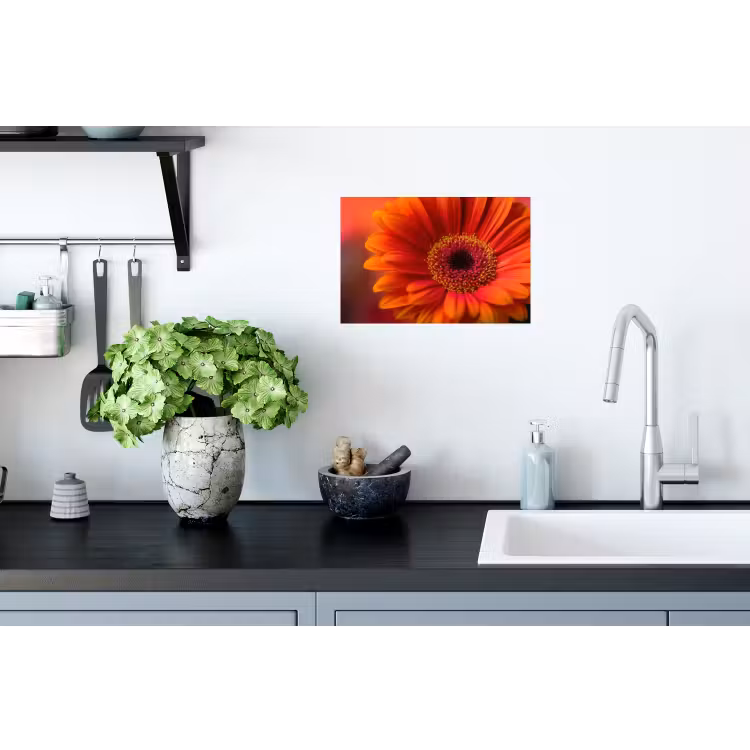 Muursticker - Oranje - Gerbera - Intens — 2