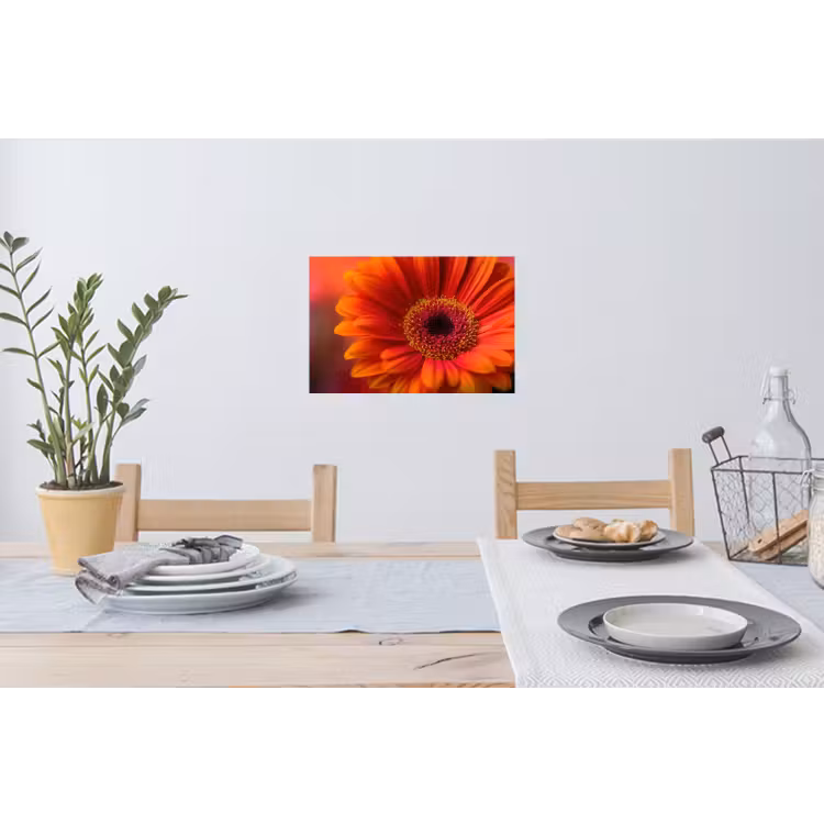 Muursticker - Oranje - Gerbera - Intens — 3
