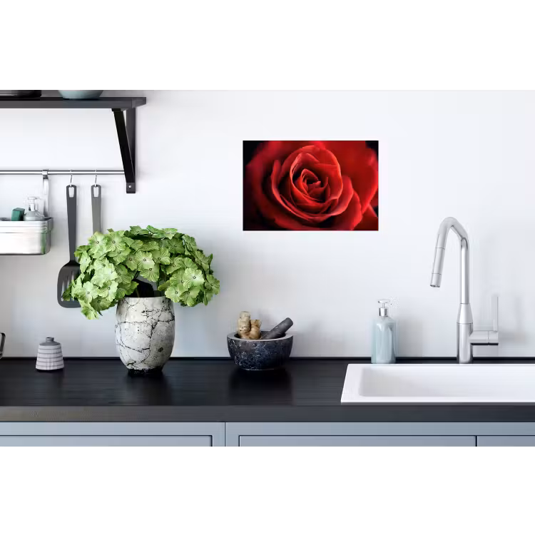 Muursticker - Rood - Roos - Romantisch — 2