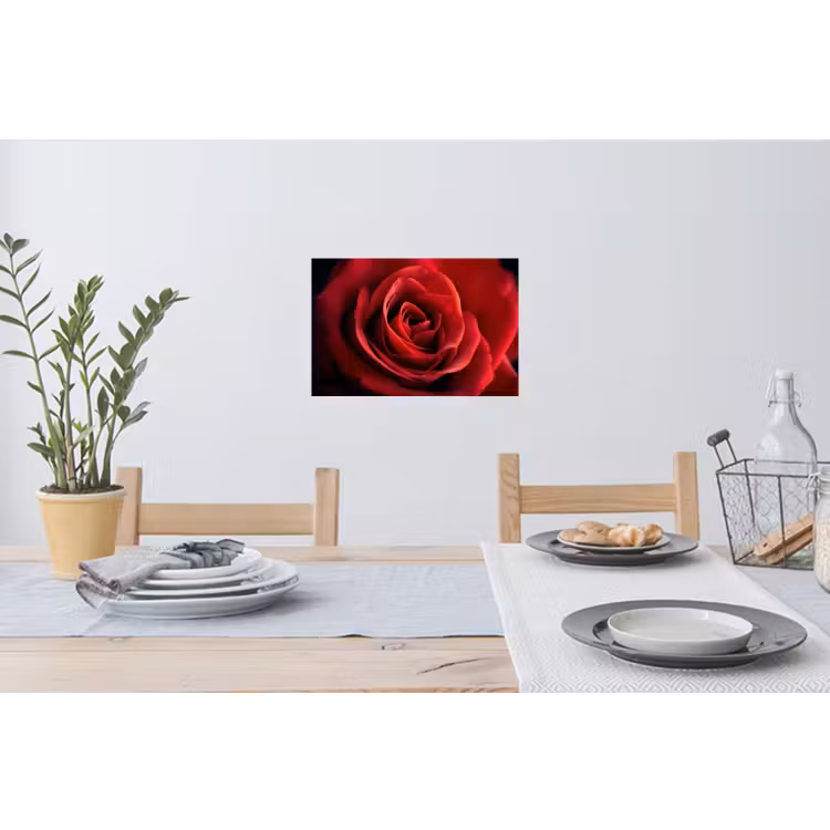 Muursticker - Rood - Roos - Romantisch — 3