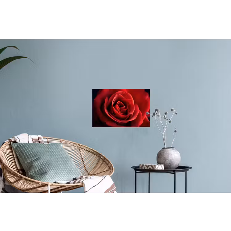Muursticker - Rood - Roos - Romantisch — 4