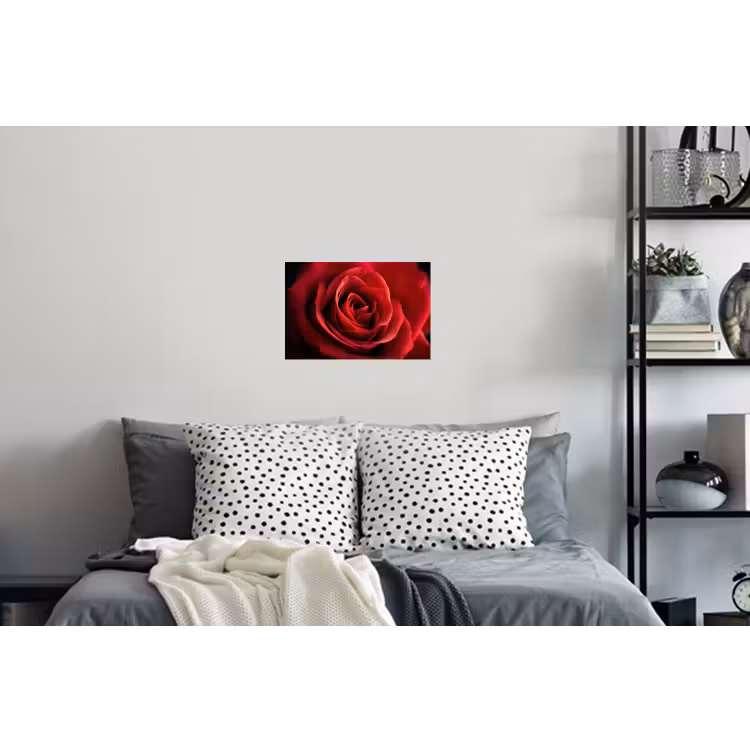 Muursticker - Rood - Roos - Romantisch — 5