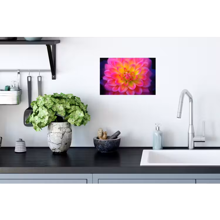 Muursticker - Roze - Dahlia - Kleurrijk — 2