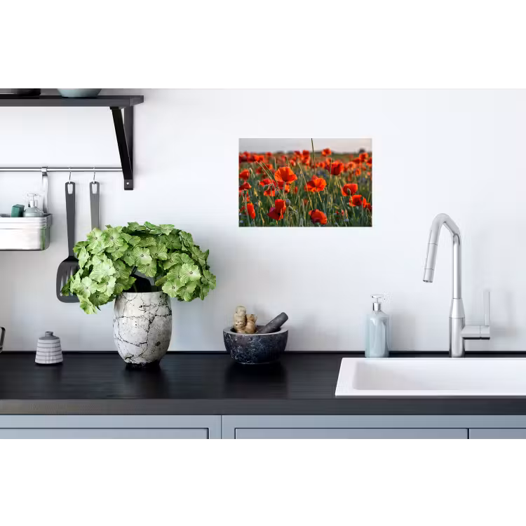 Muursticker - Bloemen - Klaprozen - Natuur - Rood — 2