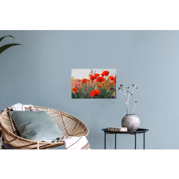 Muursticker - Klaproos - Bloemen - Rood - Paars - Weide — 4