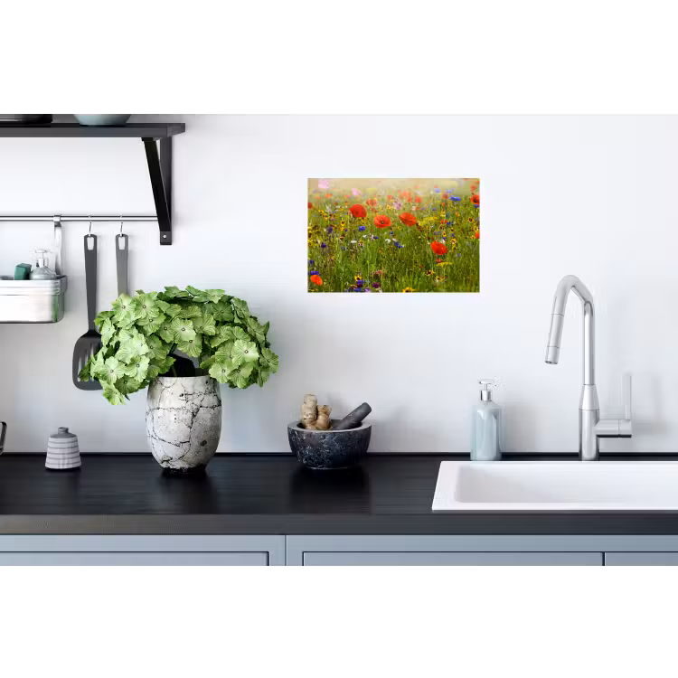 Muursticker - Lente - Bloemen - Rood - Klaproos - Gras - Groen — 2