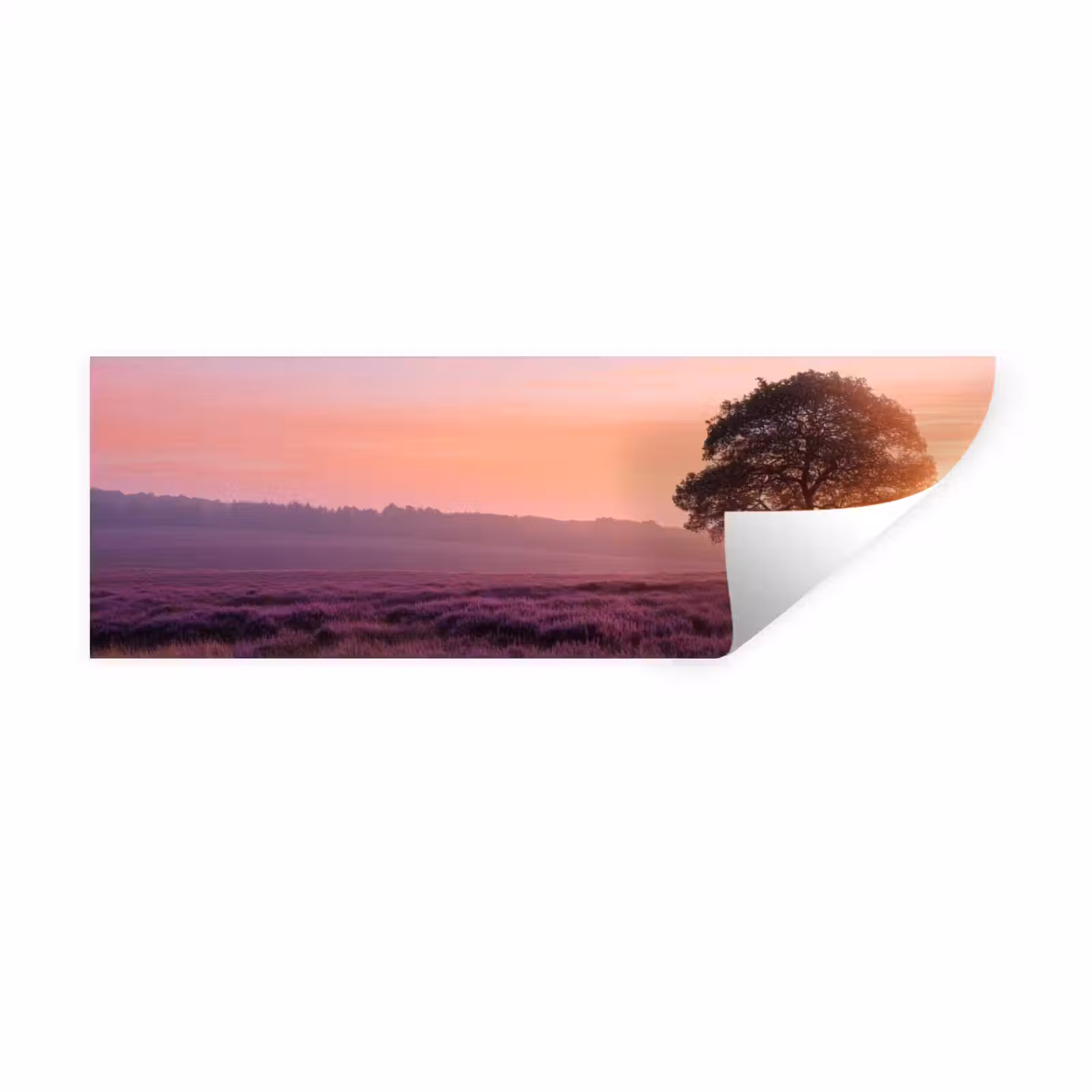 Muursticker - Boom - Heide - Zonsopgang — 1