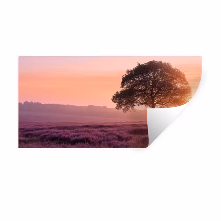 Muursticker - Boom - Heide - Zonsopgang — 1