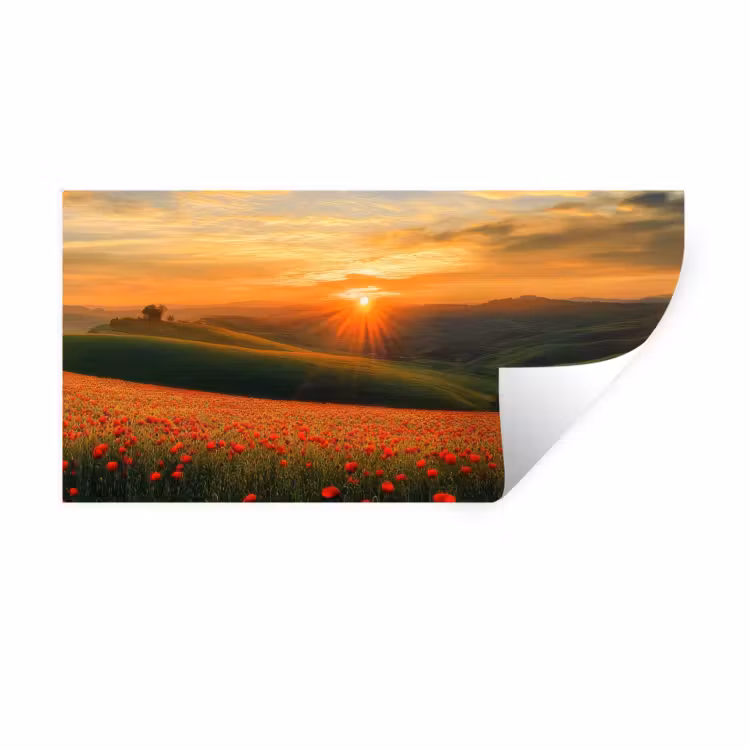 Muursticker - Klaprozen - Bloemen - Heuvels - Zonsondergang — 1