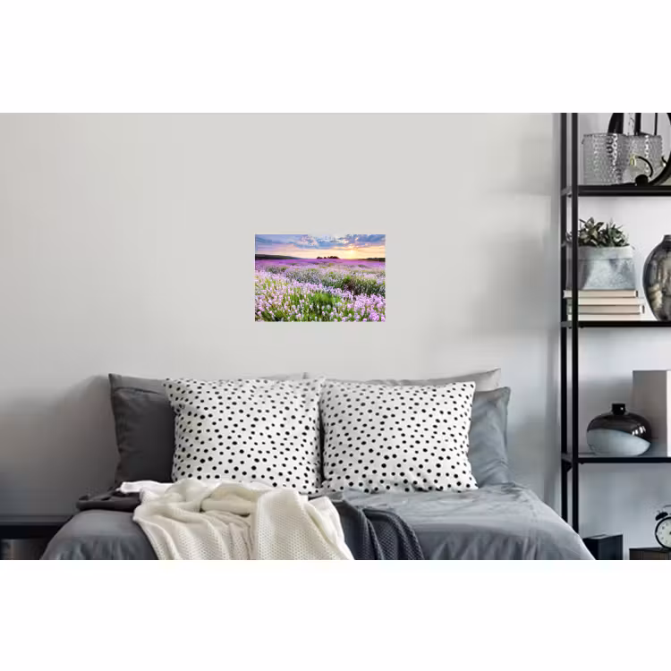 Muursticker - Lavendel - Bloemen - Zonsondergang - Paars - Weide — 5