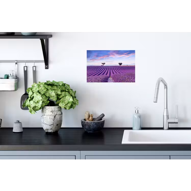 Muursticker - Lavendel - Natuur - Paars - Bomen - Bloemen — 2
