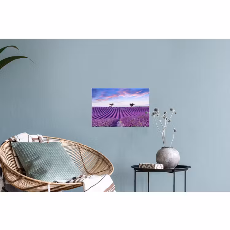 Muursticker - Lavendel - Natuur - Paars - Bomen - Bloemen — 4