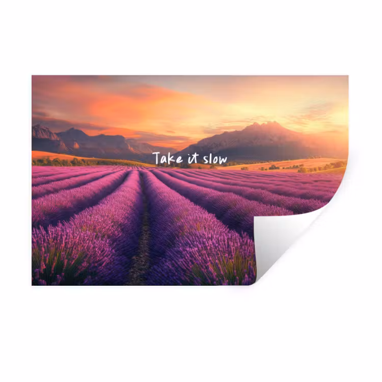 Muursticker - Lavendelveld - Quote - Zonsondergang — 1