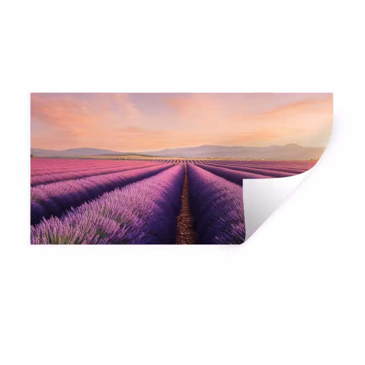 Muursticker - Lavendelveld - Zonsondergang - Paars - Bloemen — 1