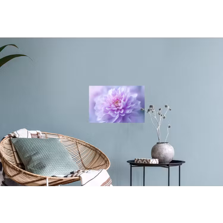 Muursticker - Paars - Dahlia - Dromerig — 4
