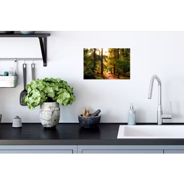 Muursticker - Bos - Pad - Bomen - Groen - Zon - Natuur — 2