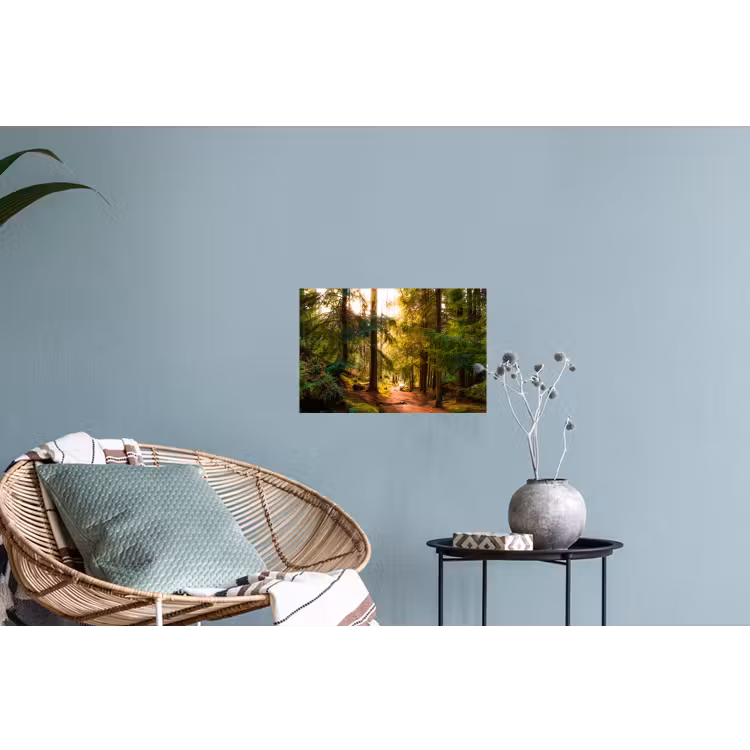 Muursticker - Bos - Pad - Bomen - Groen - Zon - Natuur — 4
