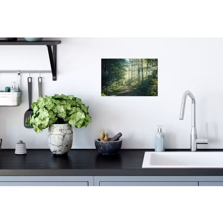 Muursticker - Bos - Pad - Zon - Bomen - Groen - Natuur — 2