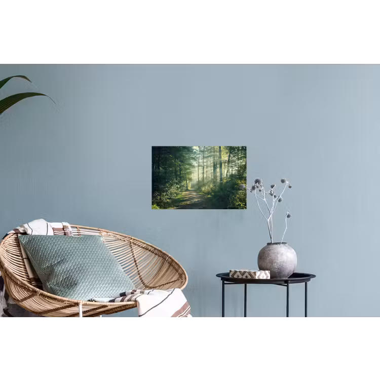 Muursticker - Bos - Pad - Zon - Bomen - Groen - Natuur — 4