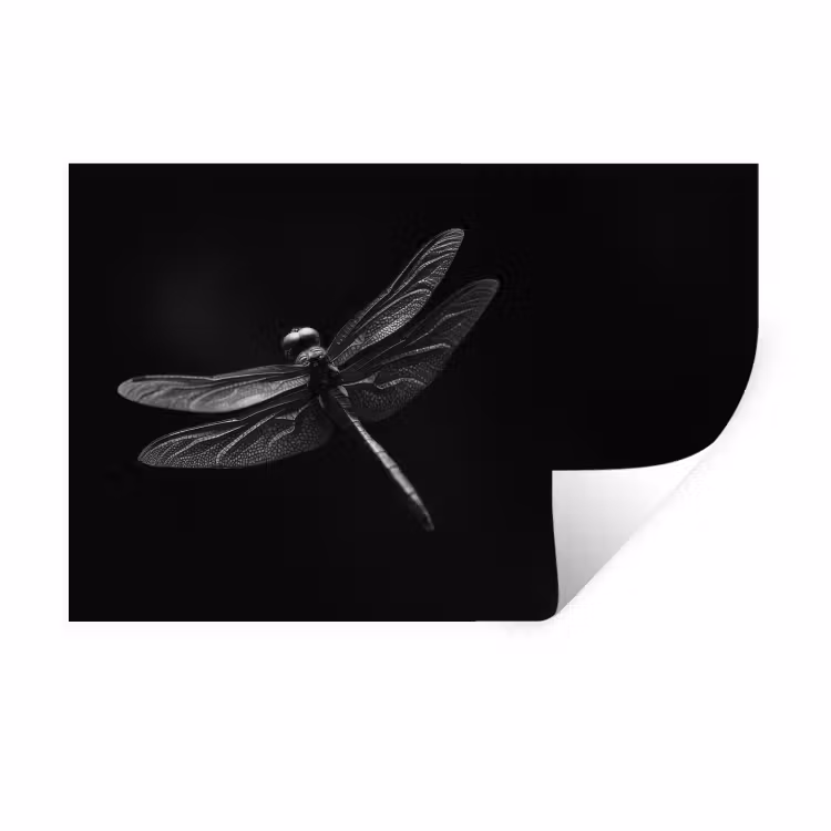 Muursticker - Libelle - Dieren - Zwart - Insect — 1