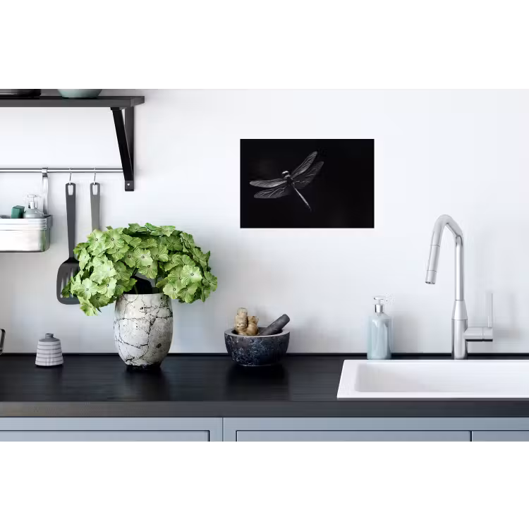 Muursticker - Libelle - Dieren - Zwart - Insect — 2