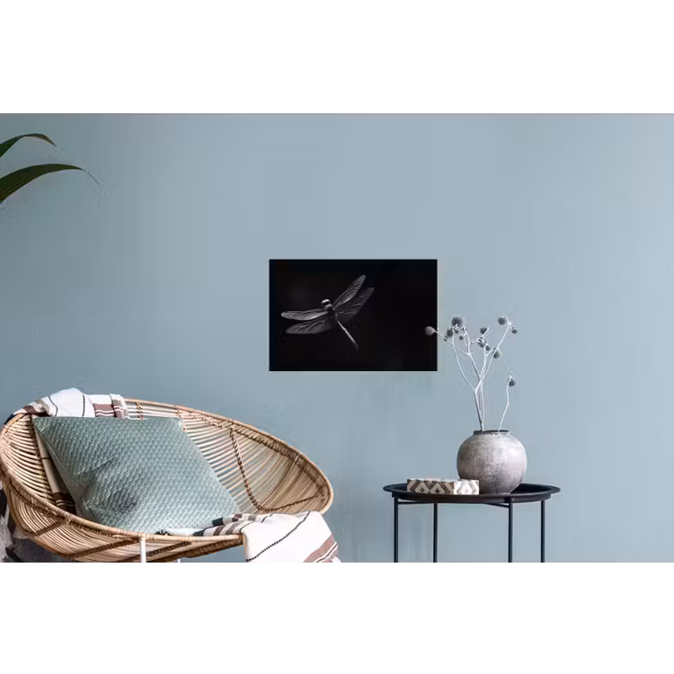 Muursticker - Libelle - Dieren - Zwart - Insect — 4